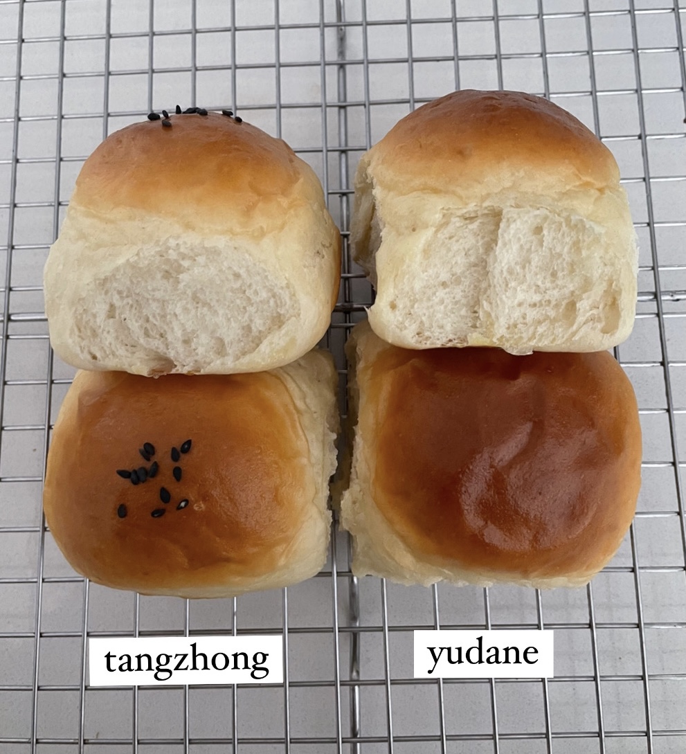 tangzhong vs yudane