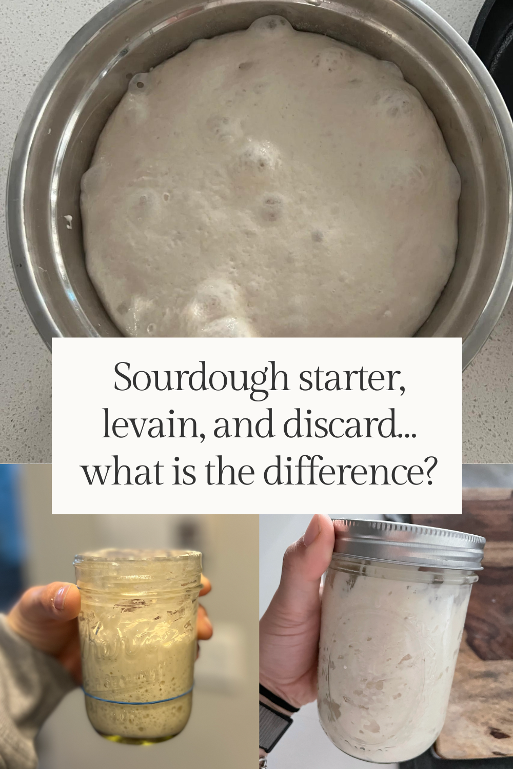 Sourdough starter, levain, and discard… what is the difference?