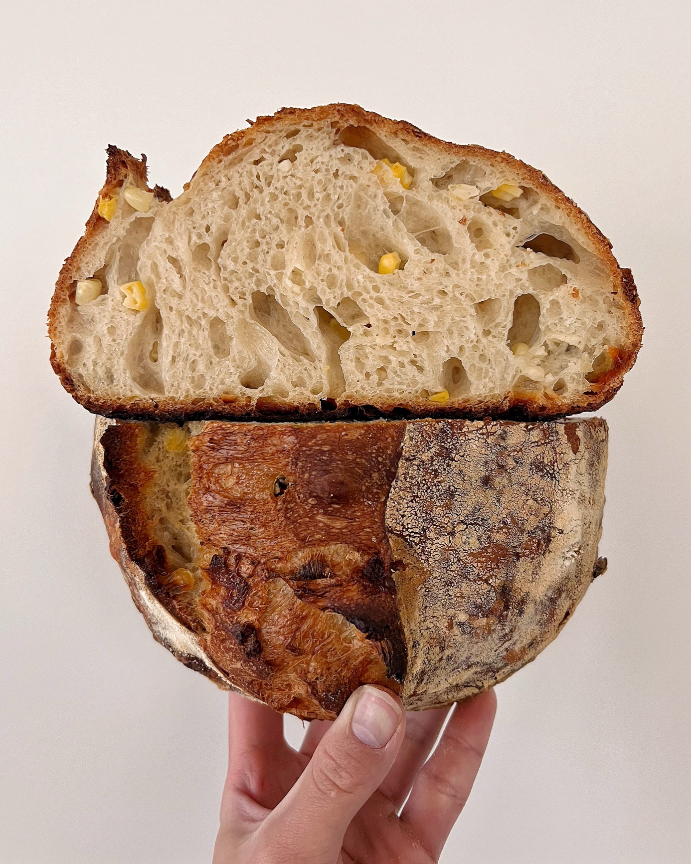 Korean Corn Cheese Sourdough Loaf